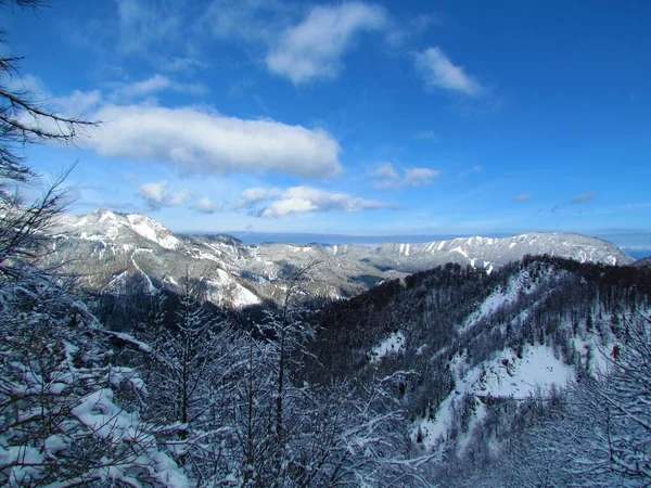 Zimní Pohled Zasněžené Kopce Rakouské Straně Pohoří Karawanken Regionu Korutany — Stock fotografie