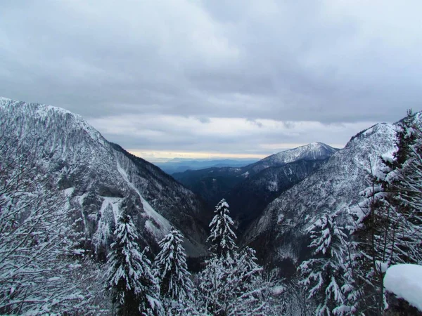 Winter Uitzicht Dal Naar Ljubelj Gorenjska Slovenië — Stockfoto