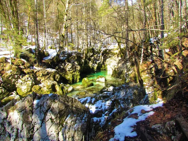 Zelený Potok Mostnica Mostnické Rokli Juliánských Alpách Triglavském Národním Parku — Stock fotografie