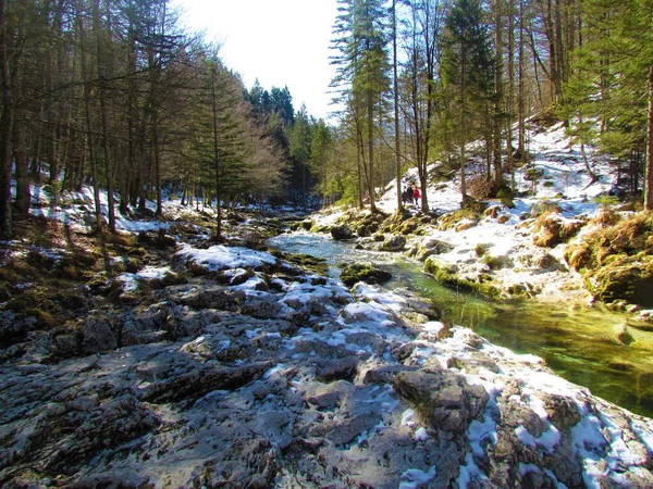 Река Мостница Близ Бохиня Юлианских Альпах Триглавский Национальный Парк Словении — стоковое фото