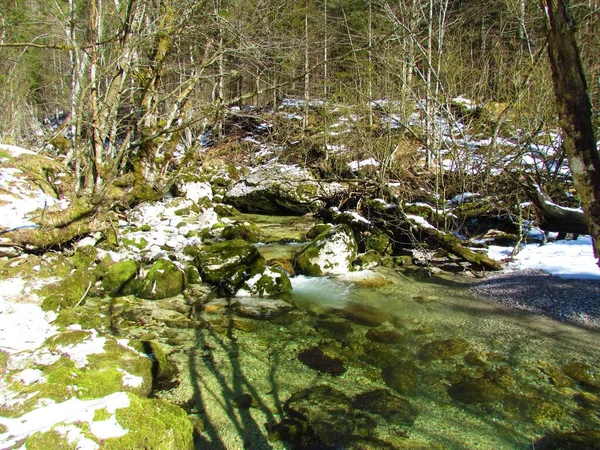 Horský Potok Nebo Potok Zimě Údolí Voje Slovinsku — Stock fotografie