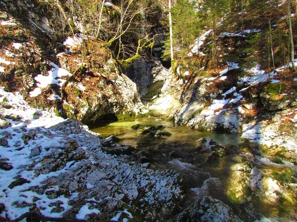Horský Potok Nebo Potok Zimě Údolí Voje Slovinsku — Stock fotografie