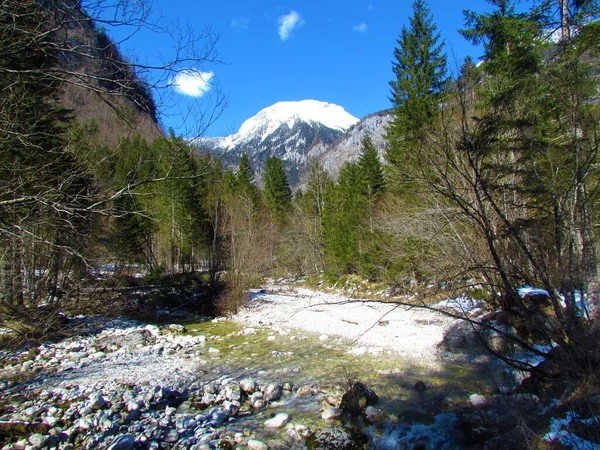 Der Fluss Fließt Einem Felsigen Strand Und Einem Wald Mit — Stockfoto