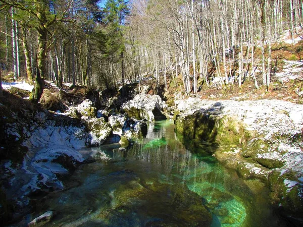 Mostnica Vadisi Ndeki Julian Alpleri Triglav Ulusal Parkı Nda Kışın — Stok fotoğraf