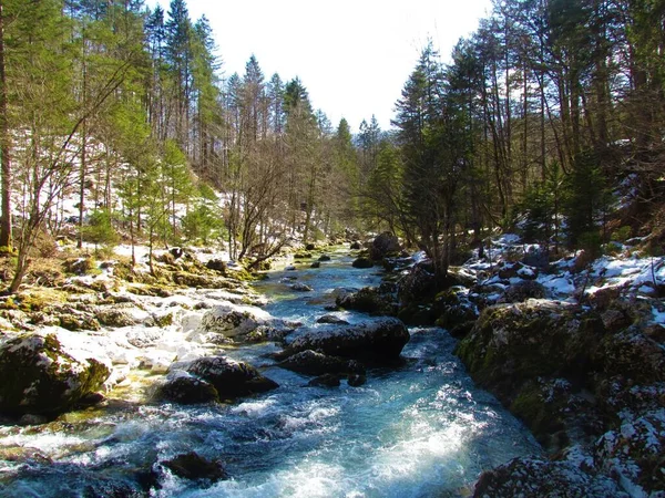 Mostnica Řeka Bohinje Juliánských Alpách Triglav Národní Park Slovinsku Tekoucí — Stock fotografie