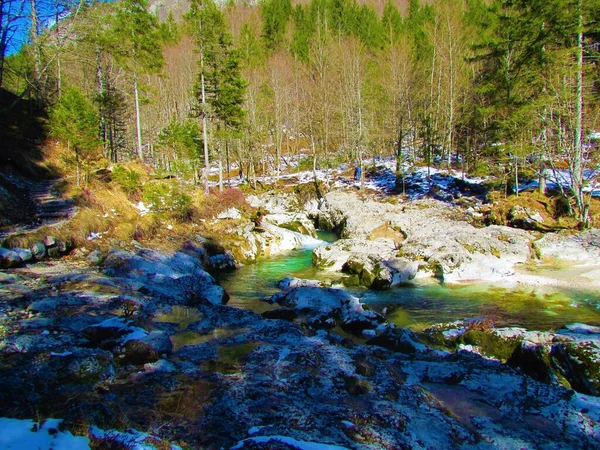 Río Mostnica Color Verde Desfiladero Mostnica Los Alpes Julianos Parque — Foto de Stock