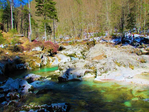 Зелений Колір Річки Mostnica Ущелині Mostnica Юліанських Альпах Національний Парк — стокове фото