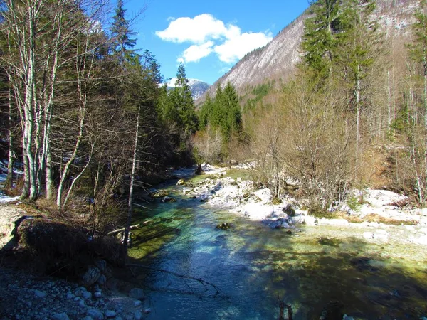 Річка Мостниця Біля Бохіня Юліанських Альпах Національний Парк Триглав Словенії — стокове фото