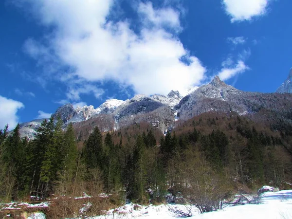 Vue Hiver Sommet Enneigé Dessus Vallée Krnica Dans Les Alpes — Photo