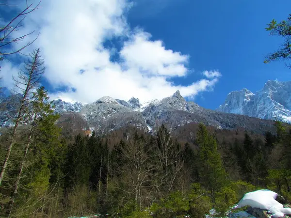 Winter Uitzicht Besneeuwde Piek Boven Krnica Vallei Julian Alps Triglav — Stockfoto
