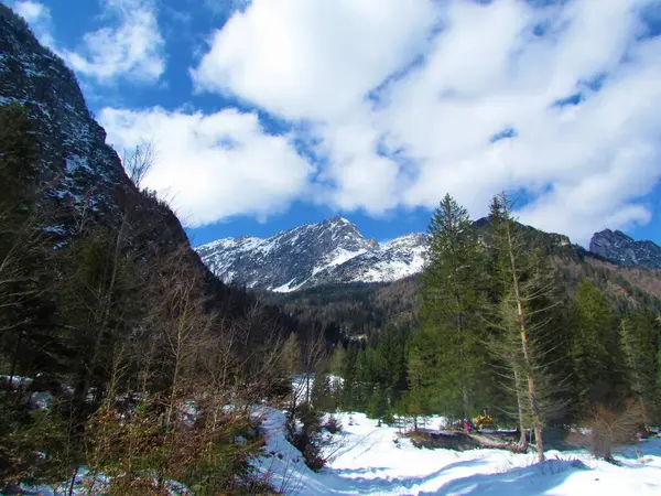 Vista Invierno Del Pico Cubierto Nieve Sobre Valle Krnica Los —  Fotos de Stock