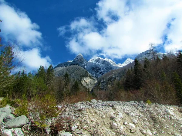 Vista Inverno Pico Coberto Neve Acima Vale Krnica Julian Alps — Fotografia de Stock