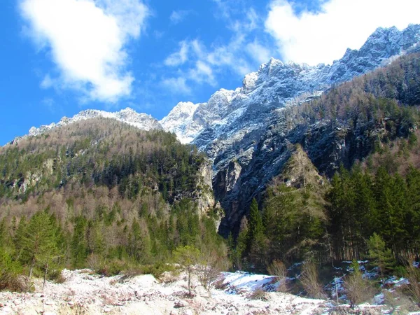 雪の冬の景色は 晴れた日にスロベニアのGrenjskaのJulian AlpsとTriglav国立公園のKrnica谷の上のピークを覆いました — ストック写真