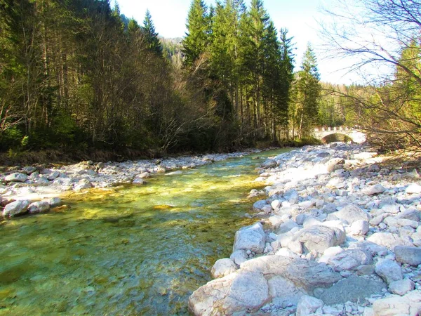 Řeka Krnica Slunečného Dne Protékajícího Kolem Lesa Triglavském Národním Parku — Stock fotografie