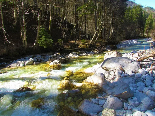 Rivière Krnica Par Une Journée Ensoleillée Qui Coule Devant Une — Photo
