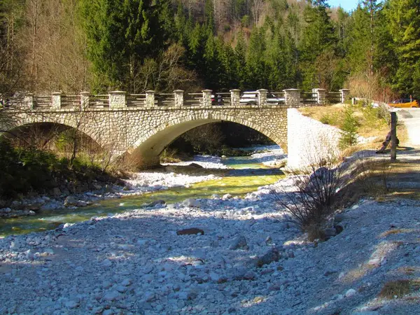 Ποταμός Krnica Μια Ηλιόλουστη Μέρα Που Ρέει Παρελθόν Ένα Δάσος — Φωτογραφία Αρχείου