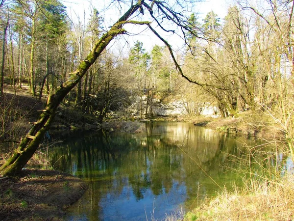 Озеро Ракові Скочджан Нотранджській Області Словенії Лісами Покривають Берег Деревом — стокове фото