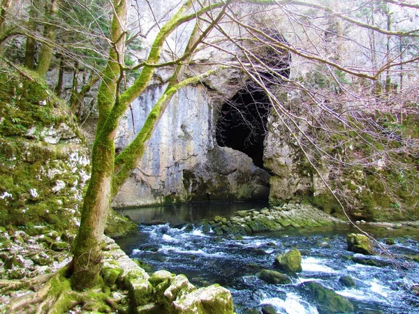 Rak Creek Rakov Skocjan Nella Regione Notranjska Slovenia Che Esce — Foto Stock