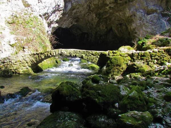 Slovenya 'nın Rakov Skocjan kentindeki Zelske Cezaevi' ndeki Rak deresinin üzerindeki taş köprü