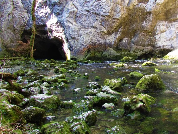 Rak Creek Rakov Skocjan Notranjska Region Slovenia Flowing Out Cave — Stock Photo, Image