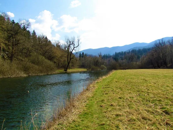 Peacuful Rak Río Tranquilo Que Fluye Través Rakov Skocjan Región — Foto de Stock