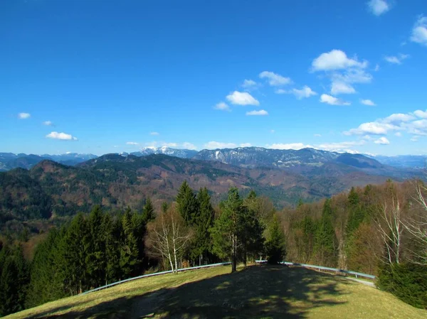 Vista Floresta Coberta Planalto Jelovica Coberto Neve Região Gorenjska Eslovénia — Fotografia de Stock