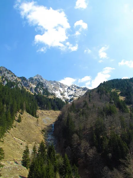 Alpské Údolí Pod Storzic Slovinsku Loukou Obklopenou Jehličnanem Listnatým Lesem — Stock fotografie