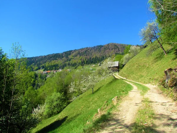 Vista Panorâmica Aldeia Jamnik Abaixo Jelovica Gorenjska Eslovénia Com Floresta — Fotografia de Stock