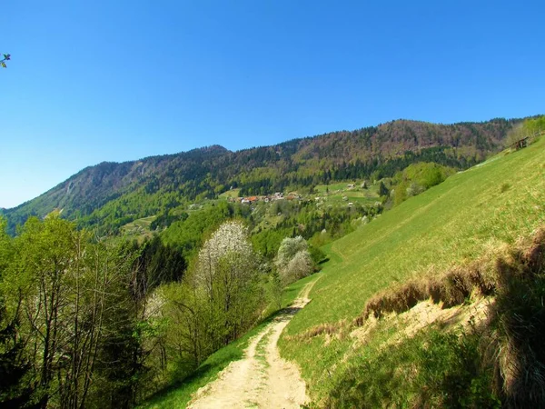 Widok Wieś Jamnik Bellow Jelovica Gorenjskiej Słowenia Lasem Pokrywającym Zbocza — Zdjęcie stockowe