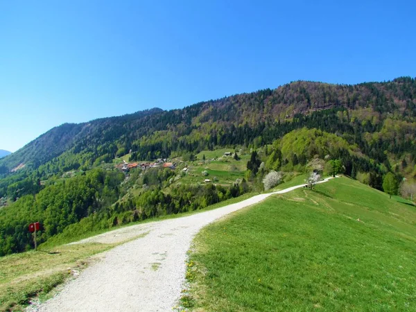 Vue Panoramique Village Jamnik Sous Jelovica Plateaou Gorenjska Slovénie Avec — Photo