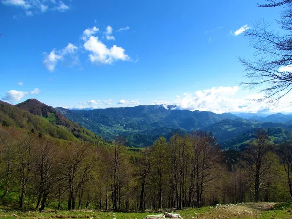 View Mountain Ratitovec Surrounding Hills Covered Forest Gorenjska Region Slovenia — Stock Photo, Image