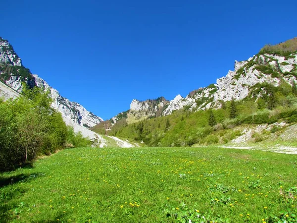 Άποψη Των Βουνών Πάνω Από Zelenica Στο Karawanks Στην Περιοχή — Φωτογραφία Αρχείου