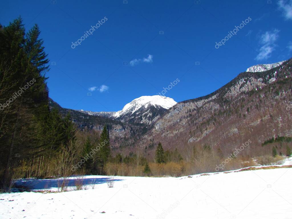 Winter view of snow covered pasture in Voje valley near Bohinj in Gorenjska, Slovenia with snow covered peaks of Julian alps in the background