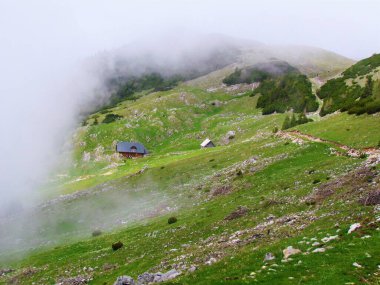 Slovenya 'nın Gorenjska bölgesindeki Struska vadisinde, Karavanke dağlarının yamacından yükselen, sürünen çam ve otlaklarla dolu bir dağ manzarası ve sisli bir dağ kulübesi.