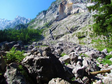 Julian Alpleri ve Slovenya 'daki Triglav ulusal parkında arkasında dikey bir kaya duvarı bulunan geniş kayalar ve buzulsal erratiklerle dağlık bir arazi.