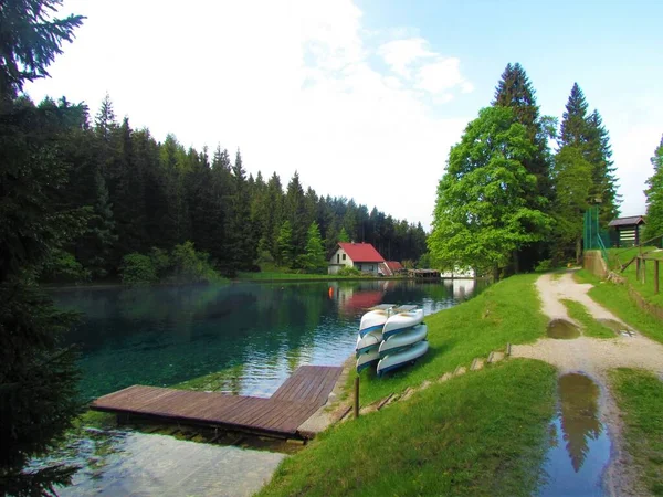 Lake Javorniski Rovt Gorenjska Region Slovenia Coniferous Spruce Forest House — Stock Photo, Image