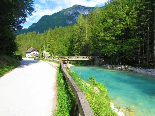 Triglavska Bistrica River Beautiful Turquoise Green Color Mojstrana Paved Road — Stock Photo, Image
