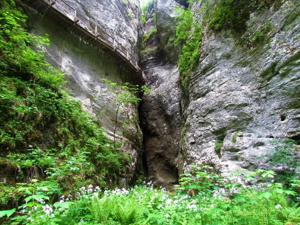 Pasarela Madera Que Conduce Estrecho Pasaje Cueva Junto Una Pared — Foto de Stock