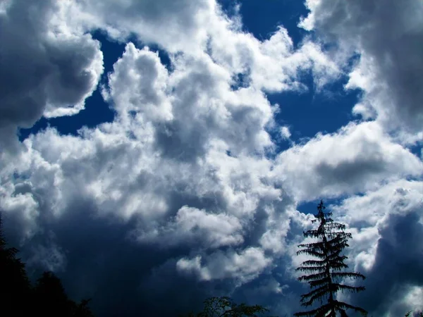 Schöne Wolkenlandschaft Mit Flauschigen Wolken — Stockfoto