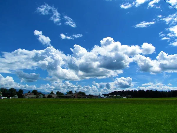 Beautiful fluffy cumulonimbus clouds and a field surrounded by trees bellow in Slovenia