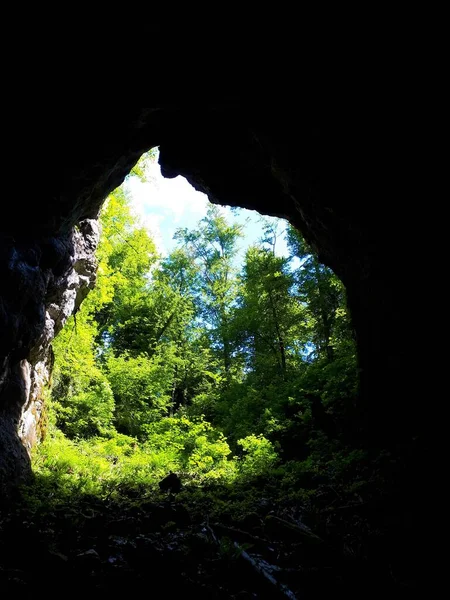 Buja Erdei Lombozat Egy Sötét Barlang Bejáratánál Rakov Skocjan Notranjska — Stock Fotó