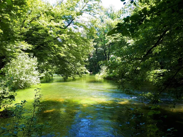 Rio Rak Rakov Skocjan Eslovênia Com Floresta Nas Margens — Fotografia de Stock