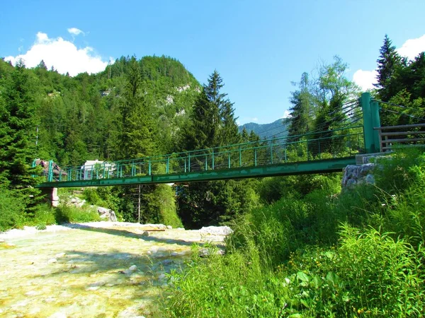Kovový Most Přes Řeku Triglavskou Bistricu Mojparty Slovinsku Lesním Porostem — Stock fotografie