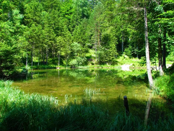 Idyllic Lake Kreda Mojstrana Vrata Valley Gorenjska Slovenia Surrounded Coniferous — Stock Photo, Image