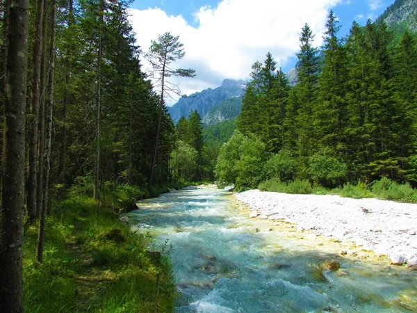 Escénico Río Triglavska Bistrica Valle Vrata Gorenjska Eslovenia Con Pico —  Fotos de Stock