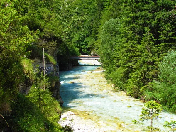 Escénico Río Trglavska Bistrica Aline Valle Vrata Región Gorenjska Eslovenia —  Fotos de Stock