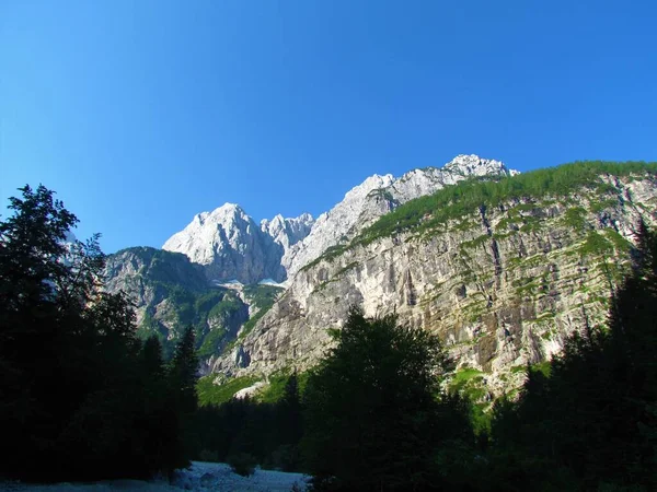 Vista Montaña Prisojnik Los Alpes Julianos Parque Nacional Triglav Región — Foto de Stock