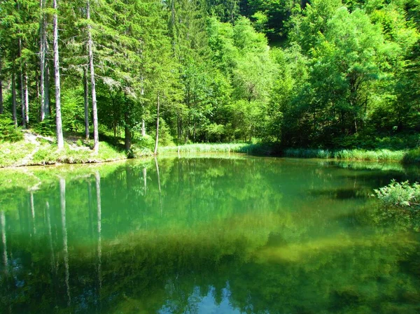 Idyllic Lake Kreda Біля Mojstrana Долині Врата Ґеренській Словенія Оточена — стокове фото