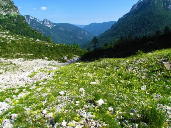 Vista Del Valle Krnica Los Alpes Julianos Parque Nacional Triglav — Foto de Stock