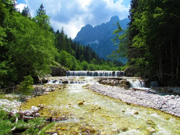 Widok Rzekę Krnica Alpach Julijskich Parku Narodowym Triglav Słowenia Szczytem — Zdjęcie stockowe